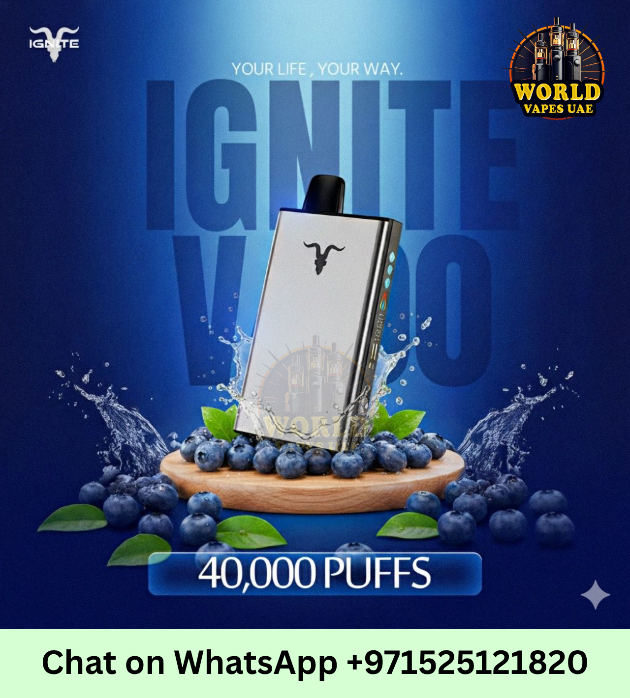 Buy IGNITE V400 40000 Puffs Disposable Vape in Dubai, UAE | 5% Nicotine