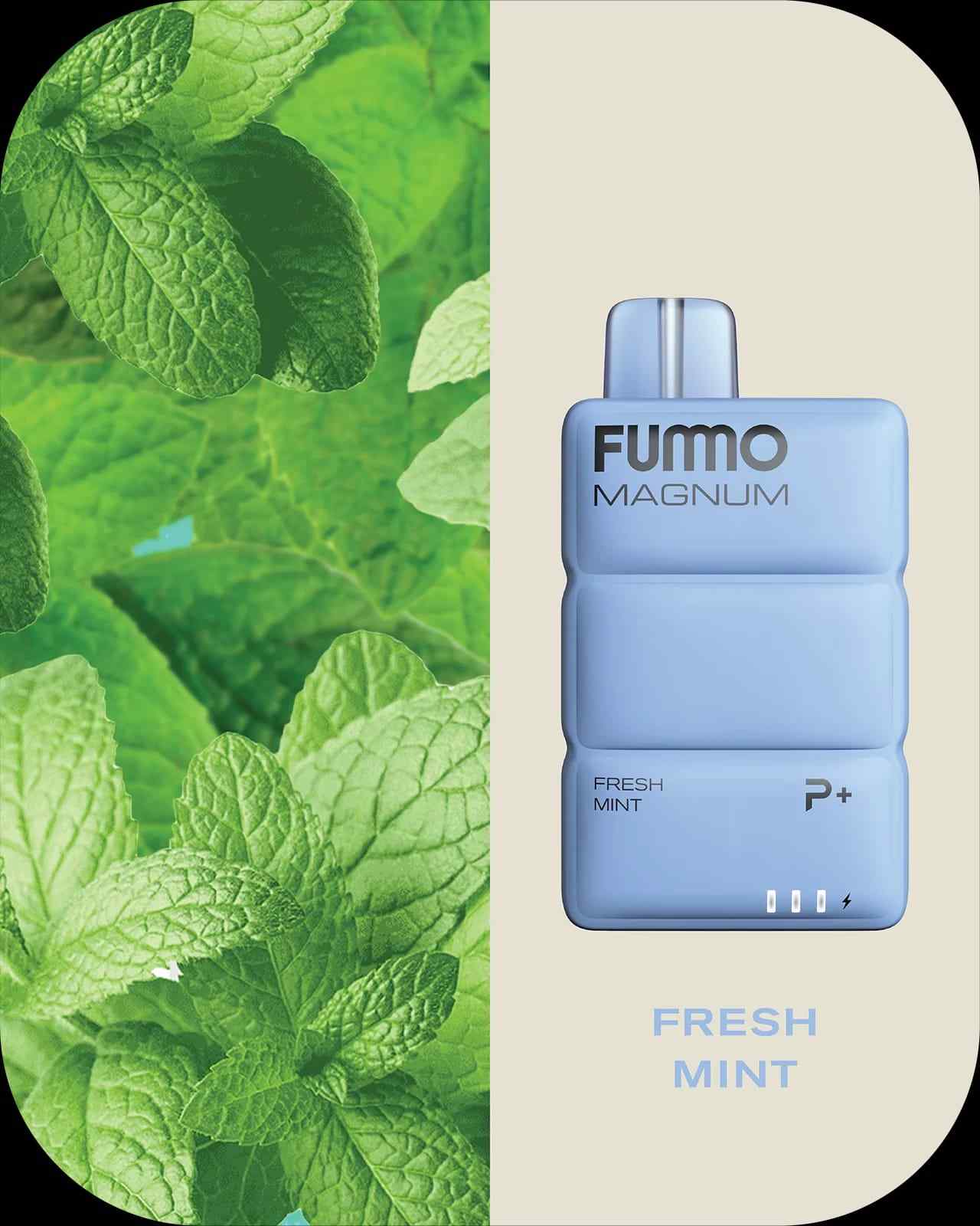 FUMMO Magnum 8000 Puffs Disposable Vape in Dubai, UAE | Power Plus Tech