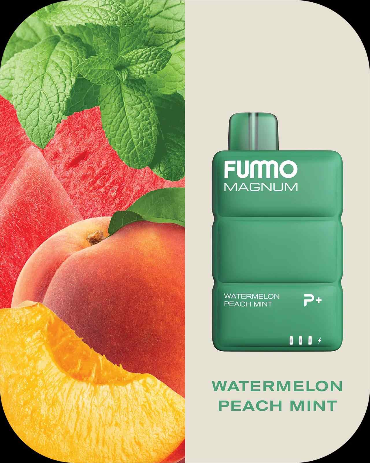 FUMMO Magnum 8000 Puffs Disposable Vape in Dubai, UAE | Power Plus Tech