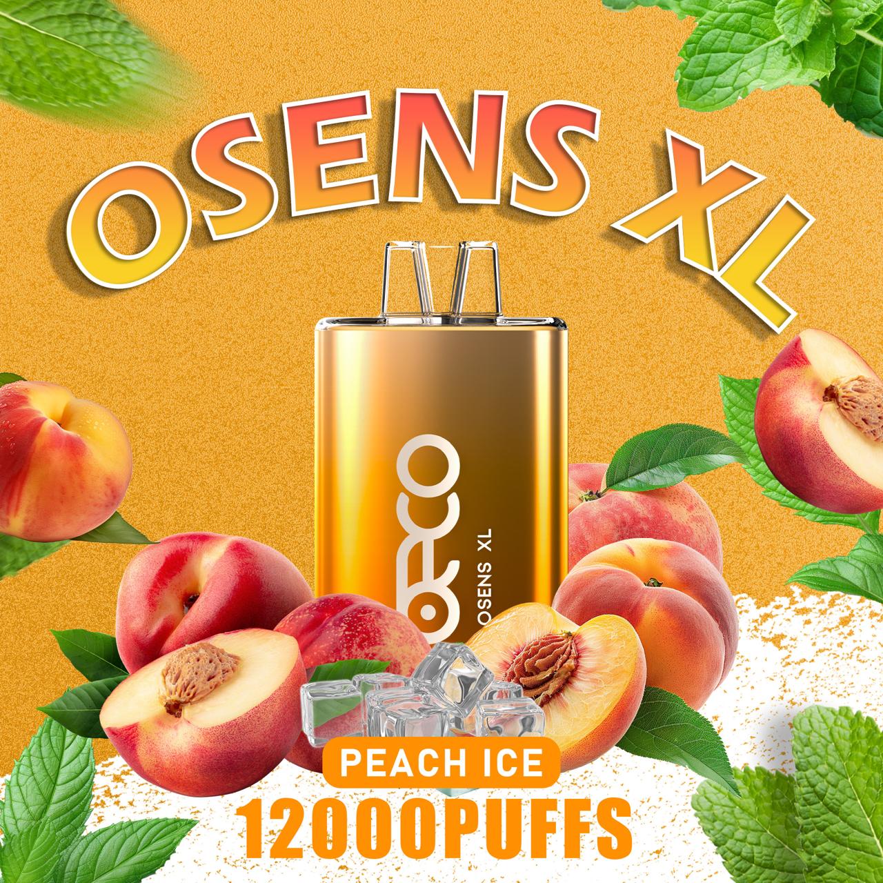 Beco Osens XL 12000 Puffs Disposable Vape in UAE | Premium Power