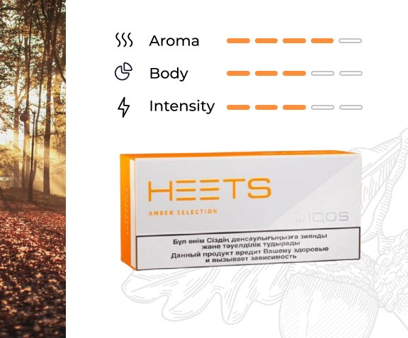 IQOS Heets Kazakhstan – Premium Tobacco Sticks in UAE | World Vapes