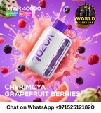 Vozol Star 40000 Puffs Disposable Vape 5% Nicotine in Dubai UAE
