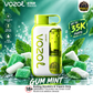 VOZOL Star 35000 Disposable Vape – 35,000 Puffs | 18 Flavors