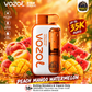 VOZOL Star 35000 Disposable Vape – 35,000 Puffs | 18 Flavors